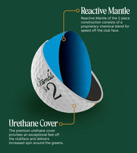 Load image into Gallery viewer, GAMBLIN' GOLF I 3 SINGLE SLEEVE BALLS
