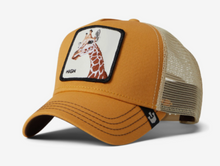 Load image into Gallery viewer, GOORIN- SO HIGH GIRAFFE
